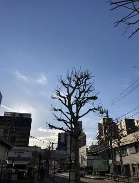 松原ビルの外観