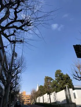 フレンシア外苑西1期ビルの外観