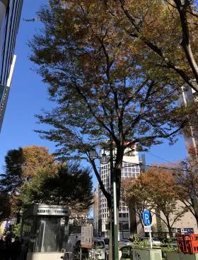 高商ビルの外観