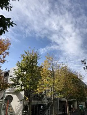 樹下庵ビルの外観