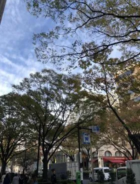 樹下庵ビルの外観