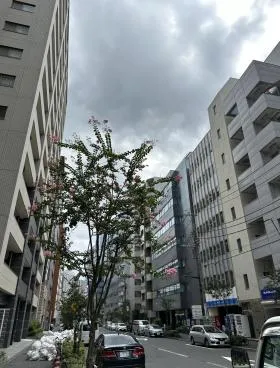 SHINKAビルの外観