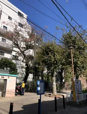 河上ビルの外観