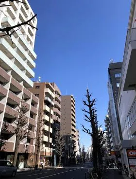 目白ハイベルズビルの外観