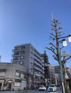 目白ハイベルズビルの外観
