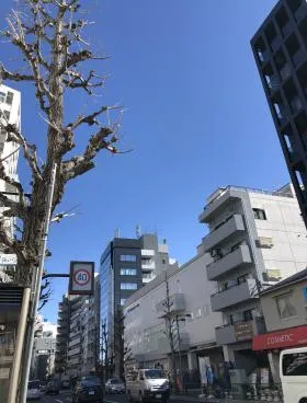 目白ハイベルズビルの外観