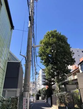 イル ドル カンビルの外観