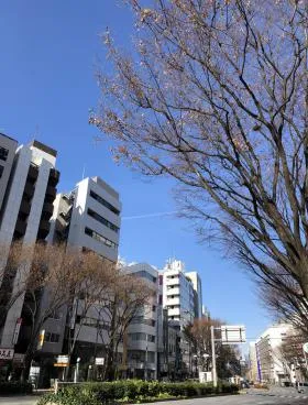 仮称)新宿通東洋アネックスビルの外観