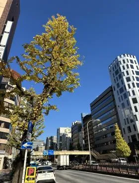 CENTRAL銀座2丁目ビルの外観