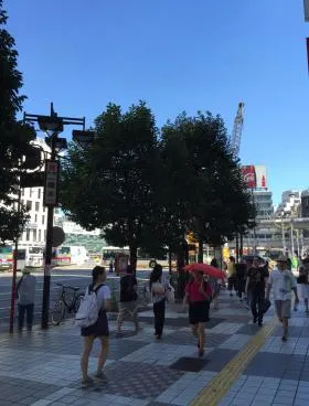 渋谷駅前会館(飯島)の外観