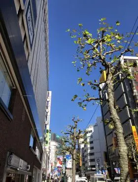 サンクスビルの外観