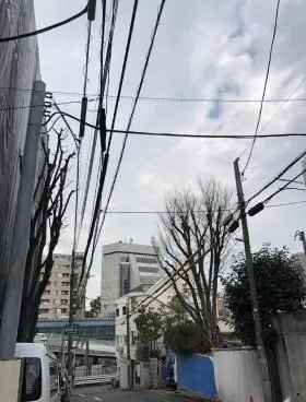 ヒルズ向山ビルの外観