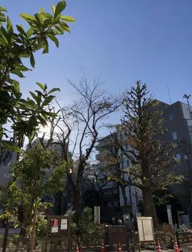 竹田ビルの外観