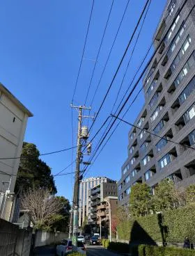 南青山テラス常盤松フォレストCビルの外観