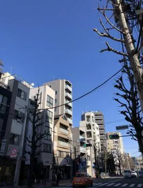 グランメゾン目白ビルの外観