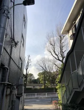 M&ONE南青山ビルの外観