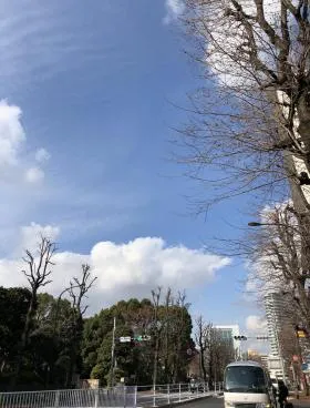 M&ONE南青山ビルの外観