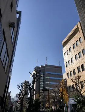 美術館ビルの外観