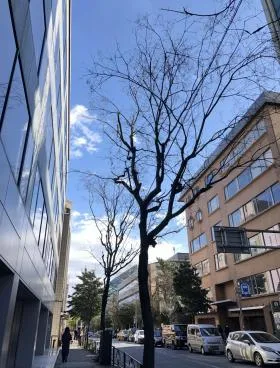 サンコーノビルの外観