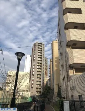 IRONSIDE NAKAMEGURO(旧:AKビル)の外観
