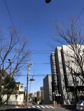 BlueLeaf大山町の外観