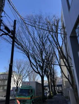 BlueLeaf大山町の外観