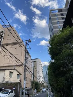 千代田区二番町一棟貸しビルの外観