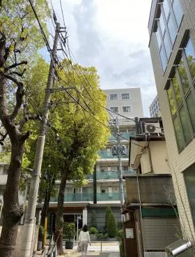 (仮称)エルセリート赤坂邸の外観
