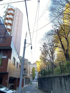 クルコトビルの外観