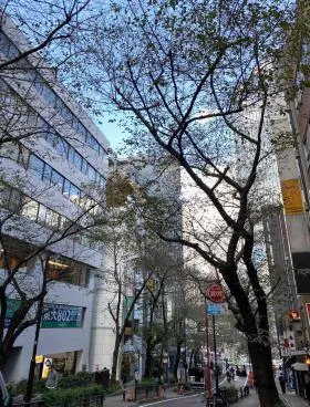 アトラス桜丘ビルの外観