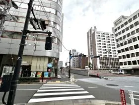 横断歩道を通過する