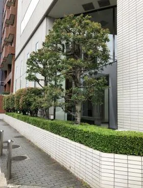 キング東京本社ビルの外観