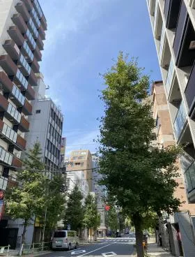 リビオレゾン新虎通りの外観