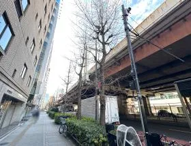 昭和通り沿いを日本橋方面に進み、反対側に渡れば当ビル着（セブンイレブン前の横断歩道を渡る）