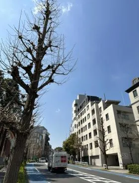 ルクスエテルナビルの外観