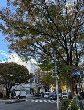 表参道Keyakiビルの外観