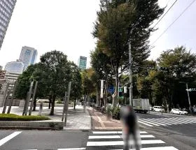 階段を上ったら近くの横断歩道を渡り、十二社通りまで直進する