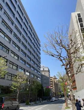 全国町村議員会館ビルの外観