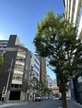 プルータスビルの外観
