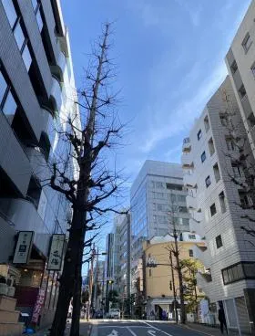 文藝春秋本館ビルの外観
