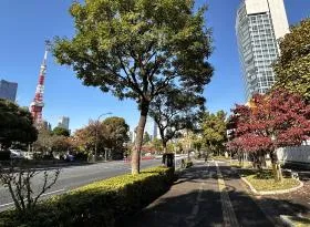 エレベーター口の近くにA3出入口があるので道順は同じ（日比谷通り沿いを少し進めばエレベーター口が現れる）