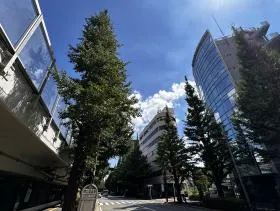 Verdex神宮北参道(旧神宮北参道PREX)ビルの外観
