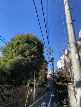 リビエラケーキ工房の外観