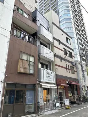 (仮称)銀座一丁目計画の外観