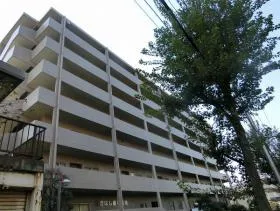 東急ドエル・アルス市が尾南の外観