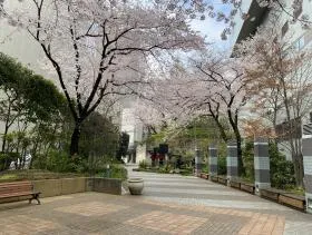 ARAプレイス赤坂の外観