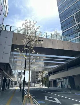 渋谷サクラステージ SHIBUYAタワーの外観