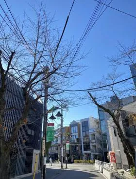 パルク表参道の外観