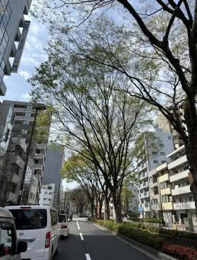 RBW JAPAN(旧:山吹町ビル)の外観