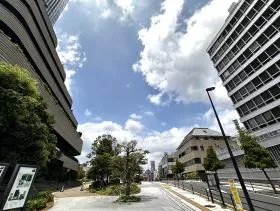 コモレ四谷沿いの細い道に入り直進する（外堀通り沿いから左に曲がる）